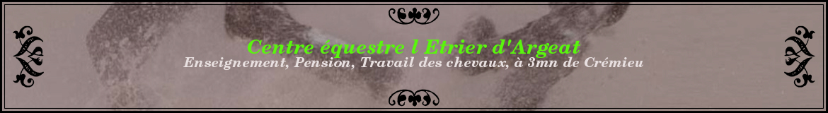 Centre équestre l Etrier d'Argeat